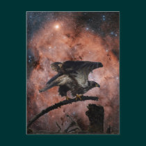 Eagle & Outer Space Gifts postcards
