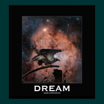 Eagle & Outer Space Photo Poster posters