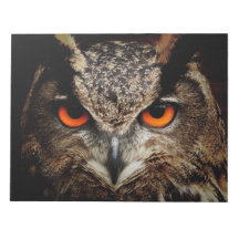 Eagle-Owl Note Pads