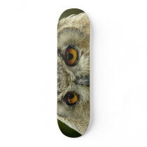 Eagle Owl Skateboard