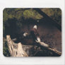 Eagle Pair Mousepad