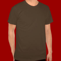 Eagle panorama t-shirts