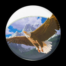 eagle.pdf magnets