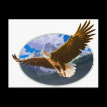 eagle.pdf postcards
