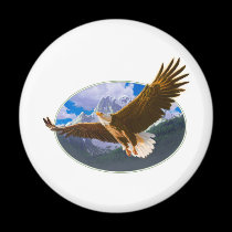 eagle.pdf magnets