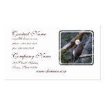 Eagle Perch Business Card
