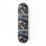 Eagle Perch Skateboard