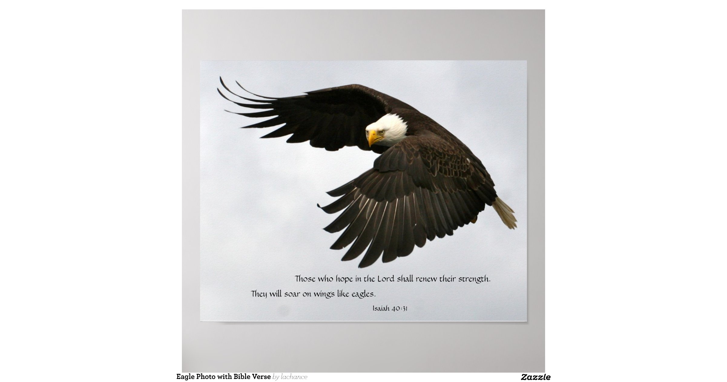 eagle_photo_with_bible_verse_poster-rd910e97846a24067aaf513d452c62d98 ...