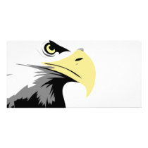 Eagle photo cards