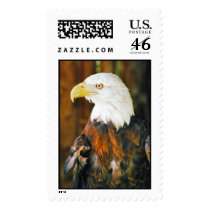 eagle postage by Nitalc eagle postage