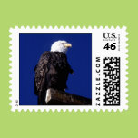 Eagle Stamps