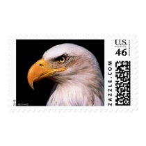 Eagle stamps