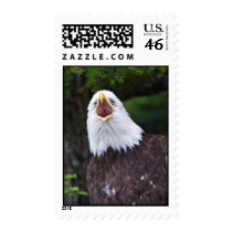 Eagle postage by WorldDesign Eagle postage