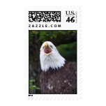 Eagle Stamps