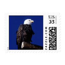 Eagle Postage