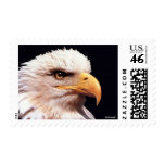 eagle postage stamp