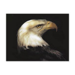 Eagle Postcards