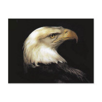 Eagle postcards