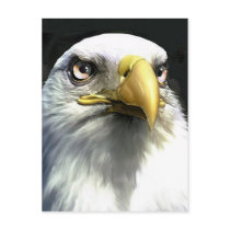 EAGLE postcards