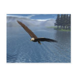 Eagle Postcard