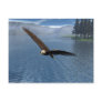 Eagle Postcard