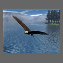 Eagle postcards