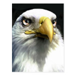 EAGLE POSTCARDS