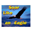 Eagle poster posters by squirrel27 Eagle poster posters