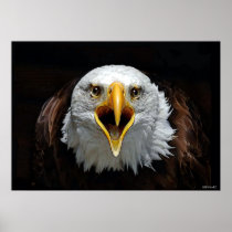 EAGLE posters