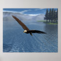 Eagle posters