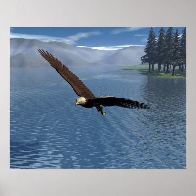 Eagle Poster by jasonmit