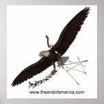 Eagle Poster