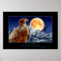 EAGLE & RAVEN Art Poster posters