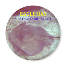 EAGLE RAY, Blue Cave Castle, NEGRIL magnets by carryoutcoffeehouse EAGLE RAY, Blue Cave Castle, NEGRIL magnets
