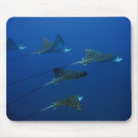 Eagle Rays at Bianca C mousepads