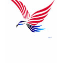 Eagle red white blue t-shirts
