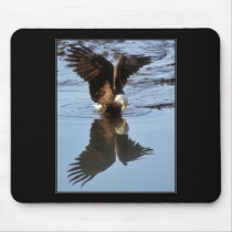 eagle &reflection mousepads