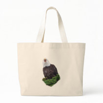 Eagle Screaming bags
