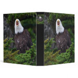 eagle screaming binders