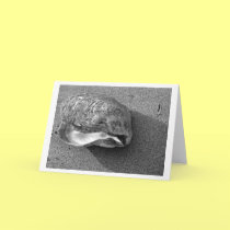 Eagle Shell (Black and White) Card cards