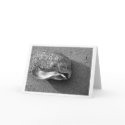 Eagle Shell (Black and White) Card