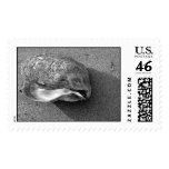 Eagle Shell Stamp (Black and White)