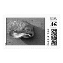 Eagle Shell Stamp (Black and White)