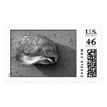 Eagle Shell Stamp (Black and White) by donnabellas Eagle Shell Stamp (Black and White)