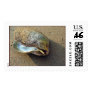 Eagle Shell Stamp (Color)