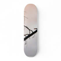 Eagle skateboards by lifesphere Eagle skateboards