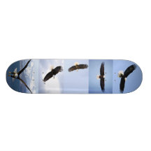 eagle skateboard