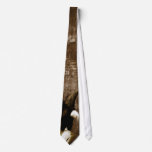 Eagle Spirit Ties