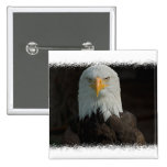 Eagle Square Magnet Buttons