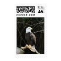 Eagle Stamp